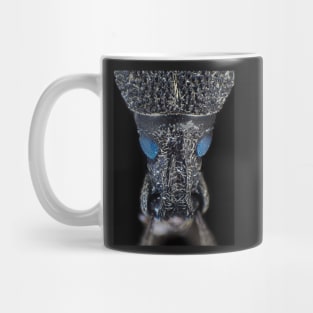 Weevil beetle under the microscope Mug